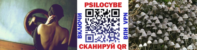 Купить закладки  Емва  Псилоцибиновые грибы GOLDEN TEACHER 